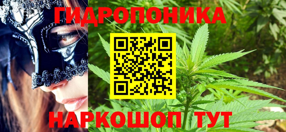 Бошки марихуана Bruce Banner  Вход с VPN  Лангепас  Канабис тримм 